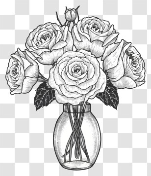 Black And White Sketch - Bouquet Of Roses In Vase Transparent PNG