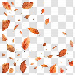 Fallen Leaves - Autumn Leaves Falling Illustration Transparent PNG