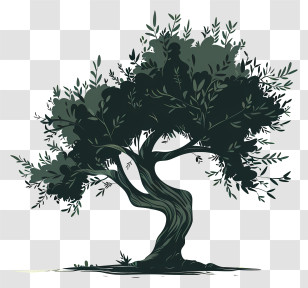 Olive Tree - Silhouette Of An Olive Tree Illustration Transparent PNG