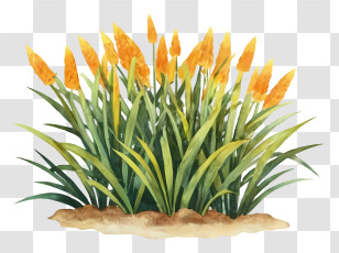 Cartoon - Yellow Flowers In Green Leaves Transparent PNG