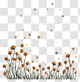 Flowers Falling - Yellow Flowers With Falling Petals Transparent PNG