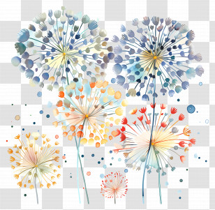 Fireworks - Colorful Dandelions In Bloom Transparent PNG