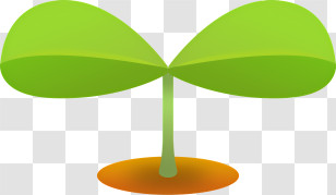 Icon - Green Sprout Growing Transparent PNG