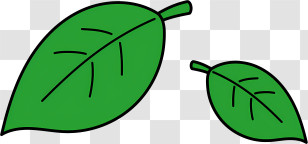 Leaf - Green Cartoon Leaves Illustration Transparent PNG