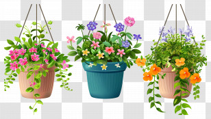 Hanging Flowers - Colorful Hanging Flower Pots For Decor Transparent PNG