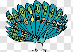 Peafowl Feather Tail Clip Art - Beak - The Of A Peacock Transparent PNG