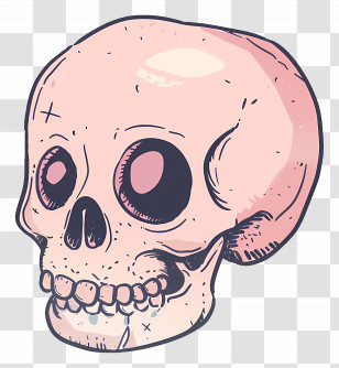 Cartoon Skull - Detailed Skull Illustration With Artistic Shading Transparent PNG