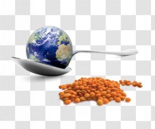 Stock Photography Earth - Superfood Transparent PNG
