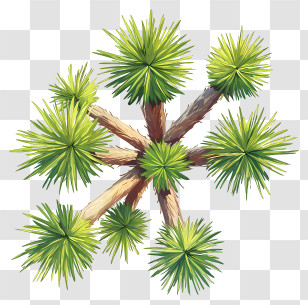 Tree Plan - Yucca Plant With Green Leaves Transparent PNG