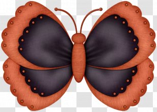 Butterfly Insect Art Moth Caterpillar Transparent PNG