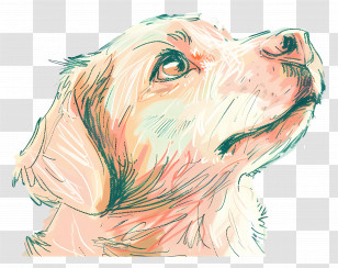 Dog - Detailed Dog Sketch With Warm Colors Transparent PNG