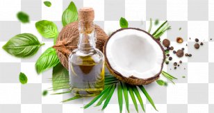 Coconut Oil Cooking Oils Milk - Olive Transparent PNG
