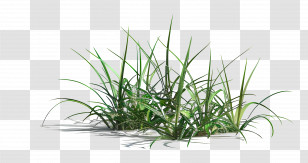 Grass Patch - Simple Green Grass Patch Transparent PNG