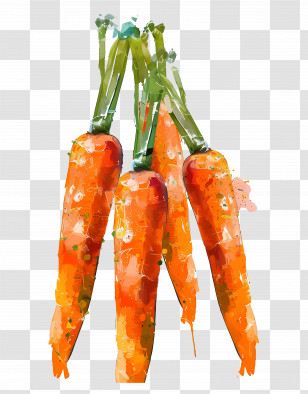 Carrots - Bunch Of Fresh Carrots Transparent PNG