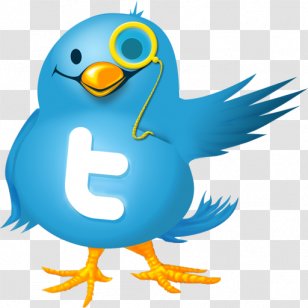 Social Media Twitter - Bird - Microblogging Transparent PNG