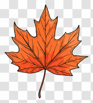 Maple Leaf - Illustration Of An Orange Maple Leaf Transparent PNG