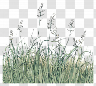 Meadow Grass - Lush Green Grass Illustration With Stems Transparent PNG