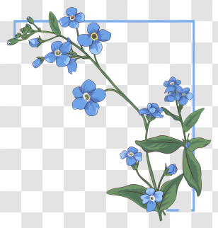 Spring Flowers Frame - Blue Forget-me-not Flower Illustration Transparent PNG