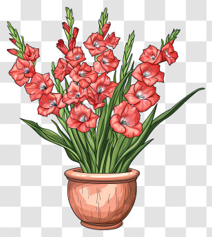 Gladiolus - Beautiful Potted Gladiolus Flower Illustration Transparent PNG