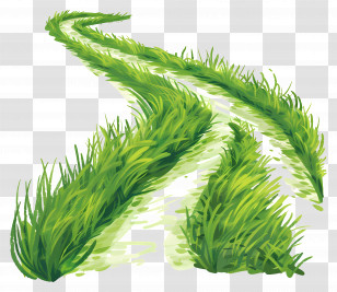 Grass Path - Green Grass Path Transparent PNG