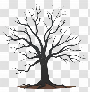 Dead Tree - Bare Tree Without Leaves Illustration Transparent PNG