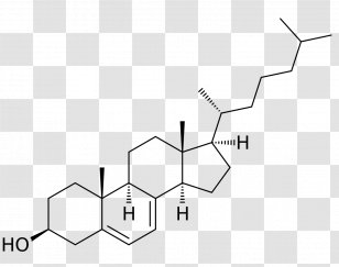 Chemical Formula Dehydroepiandrosterone Steroid Molecule Structural - Lipid - Monochrome Transparent PNG