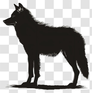 Wolf Silhouette - Majestic Wolf Silhouette In Black Transparent PNG