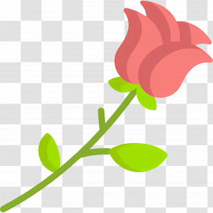 Red Flower - Pink Rose Flower Illustration Transparent PNG