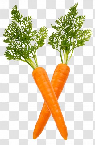Baby Carrot Muffin Vegetable Ingredient - Superfood - Ingredients Transparent PNG