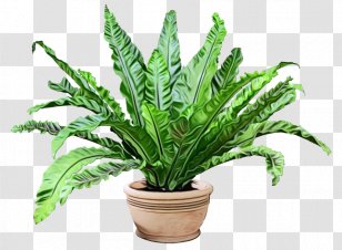 Grow Light Full-spectrum Lighting Light-emitting Diode - Plant - Terrestrial Transparent PNG
