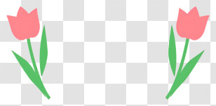 Cartoon - Pink Tulip Flowers Illustration Transparent PNG