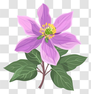 Alaska State Flower - Purple Flower With Green Leaves Illustration Transparent PNG