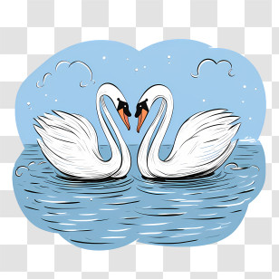 Swan - Swan Pair Illustration In Water Transparent PNG