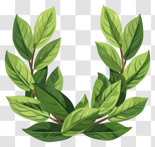 Bay Leaf Wreath - Green Laurel Wreath Illustration Transparent PNG