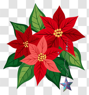 Christmas Poinsettia Flowers - Red Poinsettia With Green Leaves Transparent PNG