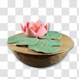 The Ashes Urn Bestattungsurne Cremation Garden - Environmentally Friendly Transparent PNG