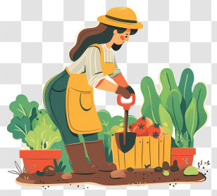 Woman Planting Vegetables - Gardener With Vegetables In A Farm Transparent PNG