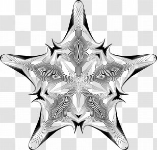 Black And White PNG Images, Transparent Black And White Images