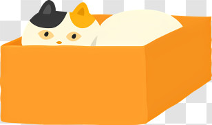 Cat - Cute Cat In An Orange Box Transparent PNG