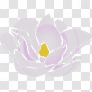 Violet Lilac Purple Magenta Flower - Magnolia Transparent PNG