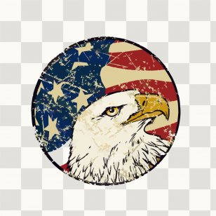 Flag Of The United States Bald Eagle - Hand-painted American Decorative Background Transparent PNG