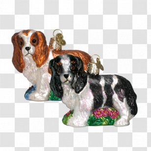 Cavalier King Charles Spaniel English Springer Dog Breed Companion - Glass Transparent PNG