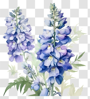Decorative Paintings - Beautiful Blue And Purple Flowers Transparent PNG