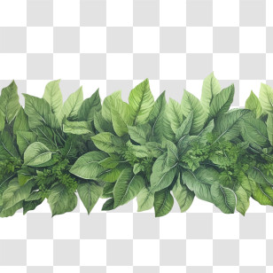 Leaf Border - Green Leaves Border Transparent PNG