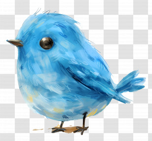 Bluebird - Charming Blue Bird Cartoon Artwork Transparent PNG