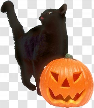 Black Cat Halloween Jack-o'-lantern Trick-or-treating Wedding Invitation - Convite Transparent PNG