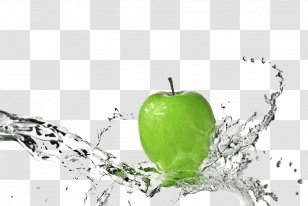 Stock Photography Fresh Water Washing - Tree Transparent PNG