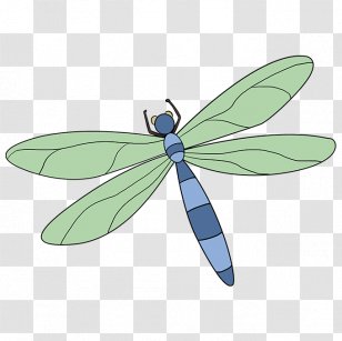 A Dragonfly? Drawing Tutorial Image - Cartoon - Dragonfly Transparent PNG
