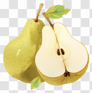 Watercolor Pear Fruit - Fresh Pears Illustration Transparent PNG
