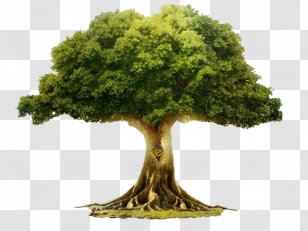 Tree Of Life Extraterrestrial Root - Trunk Transparent PNG